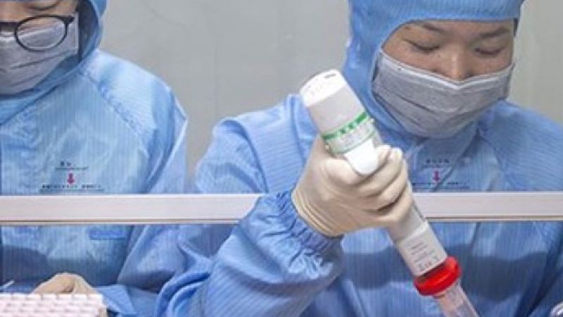 DSÖ, korona laboratuvarda ortaya çıktı iddialarına yanıt verdi