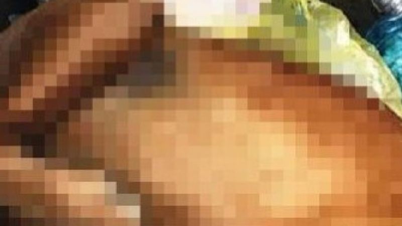 Bodrum'da bir çoban, köpeği öldürüp çöpe attı