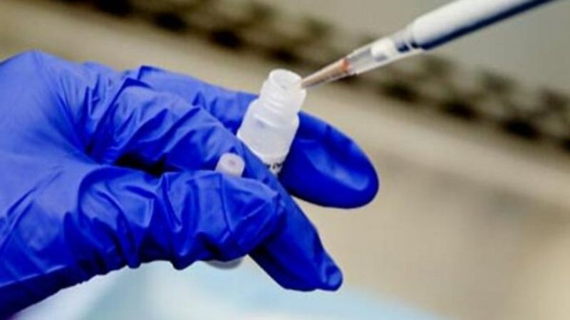 Almanya, korona aşısını insanlarda test edecek