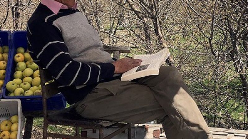 Yol üzeri tezgahında müşteri beklerken bin kitap okudu