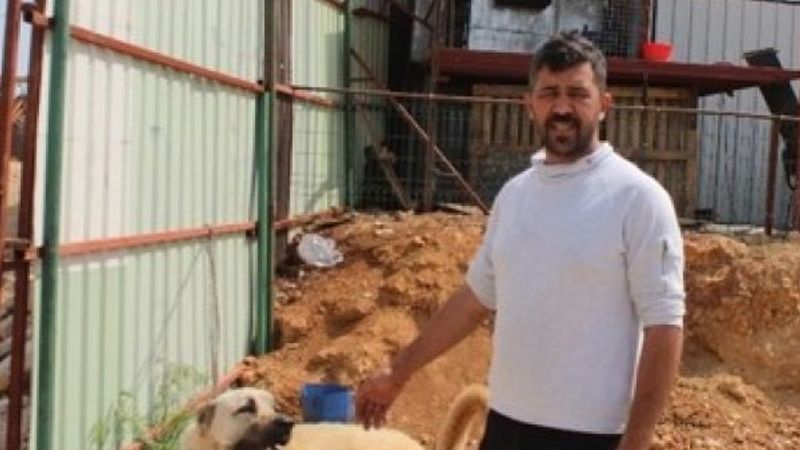 Girdikleri iş yerinden hayvanlarını da çaldılar