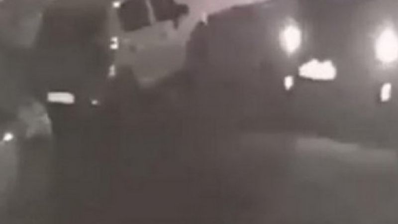 Aracıyla yolda uyuyan köpeği ezdi