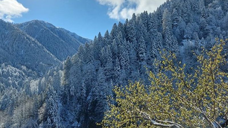 Ayder Yaylası, nisanda beyaza büründü