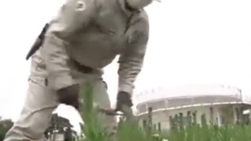 Japonya'da parklardaki çiçekler budandı