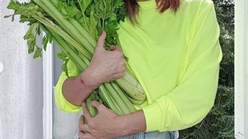 Deniz Akkaya ve kereviz sapları