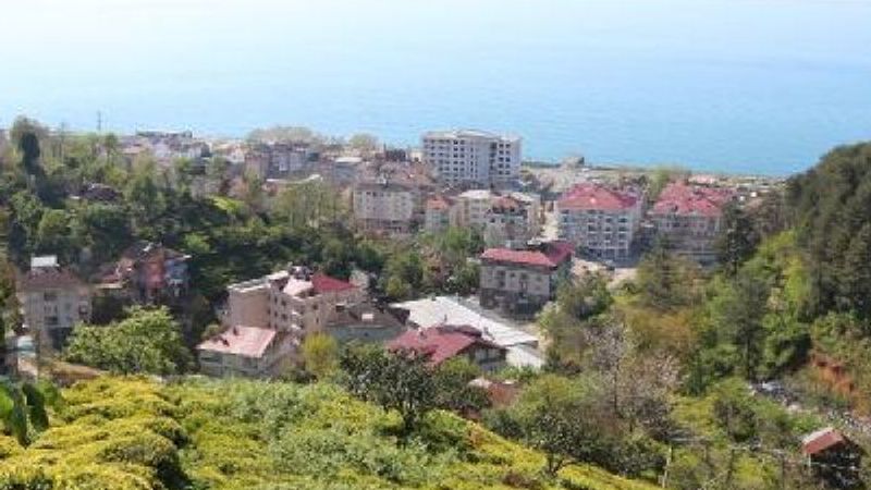Rize'de 2 bin çay işçisi aranıyor