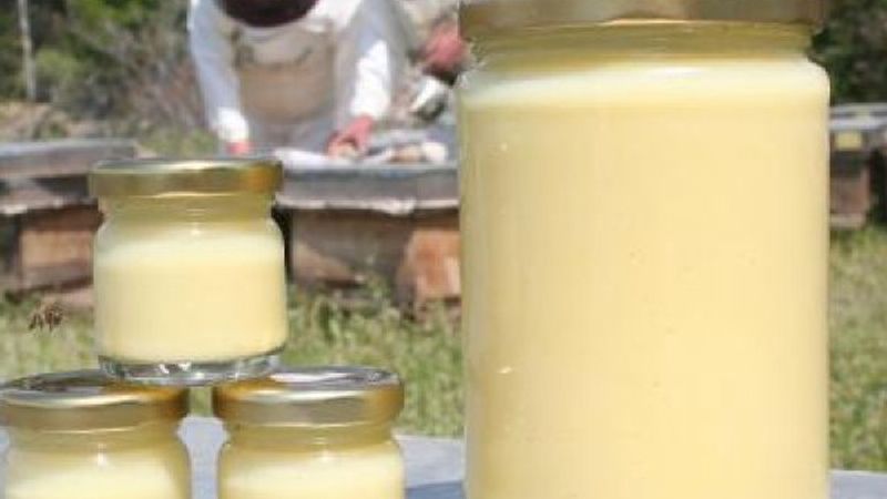 Kilosu 16 bin TL olan arı sütüne korona ilgisi