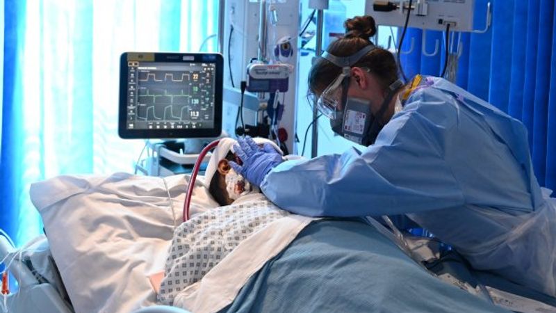 İngiltere'de son 24 saatte 649 kişi daha öldü