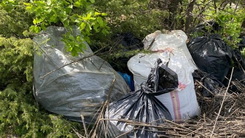 Terör örgütüne ağır darbe: 725 kilo esrar bulundu