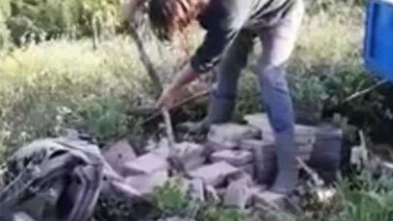 Yılanı deliğinden tatlı dille çıkartmaya çalıştı