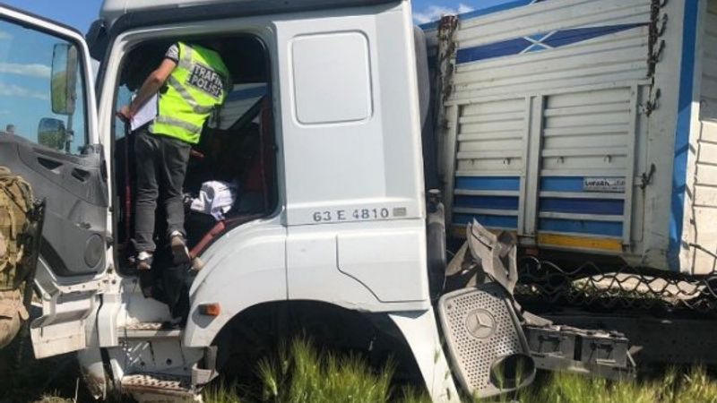 Mardin'de tır, hayvan yüklü kamyonete çaptı: 1 ölü, 3 yaralı