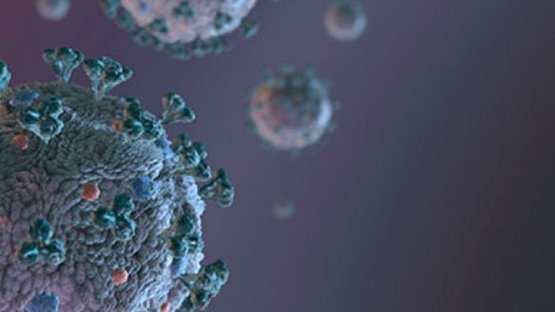 DSÖ: Bu tip virüslere karşı aşı geliştirmek zor