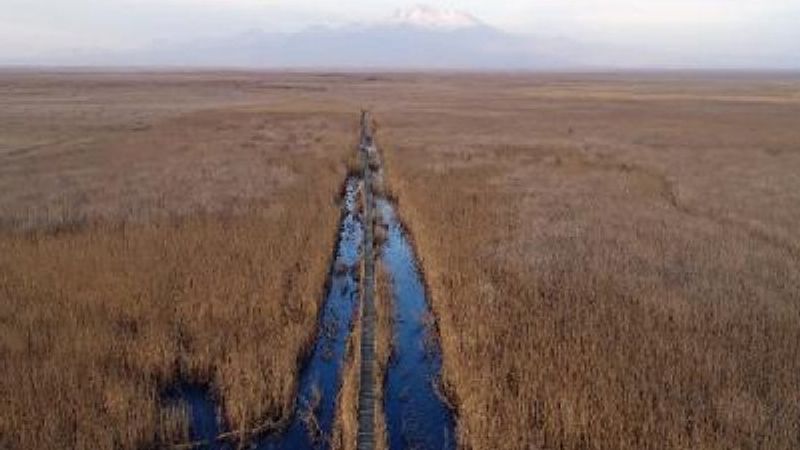Kayseri'deki Sultan Sazlığı'nı görenler hayran kalıyor