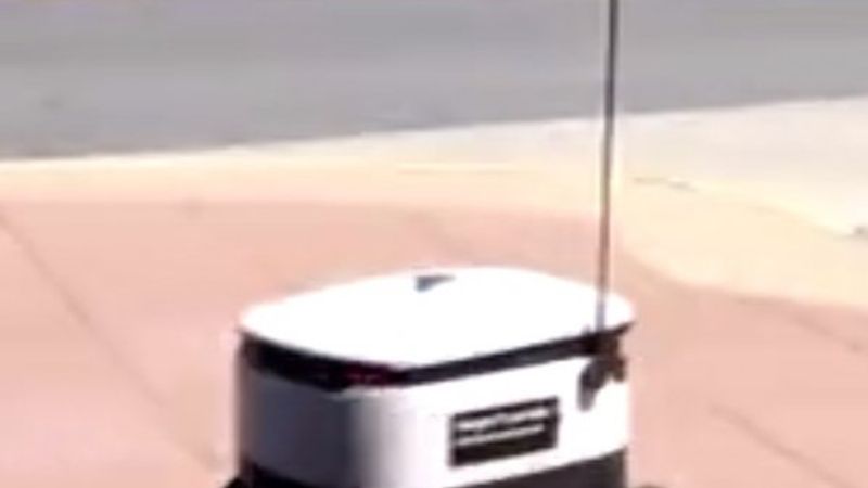 ABD'de robotla yemek servisi