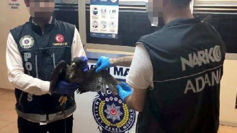 Adana'da ölü kuş bulunan otomobildeki 2 kişiye ceza