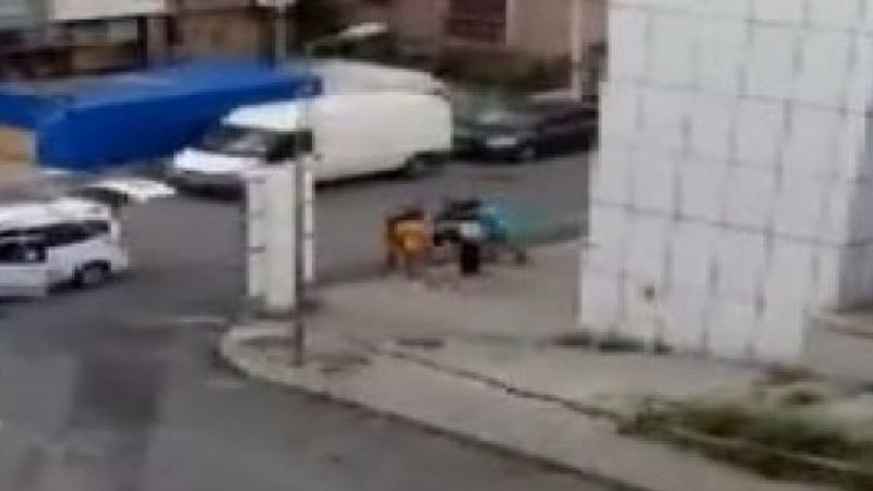 Maltepe’de fırıncılar, silahlı saldırıya uğradı