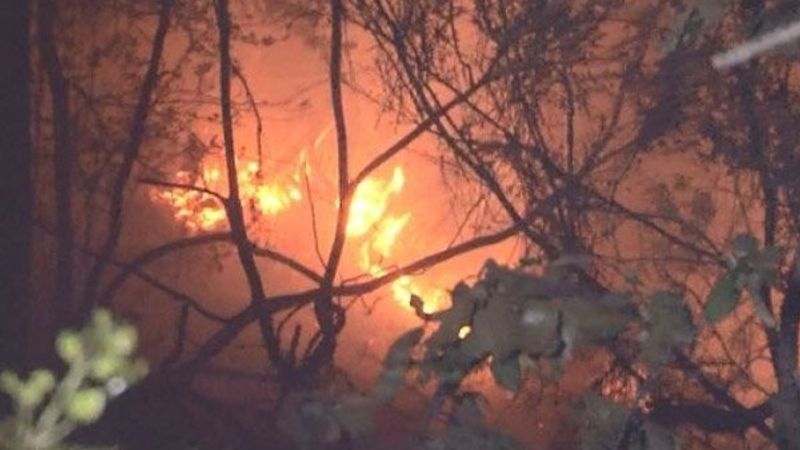 Aydos Ormanı’nda atılan havai fişek yangın çıkarttı