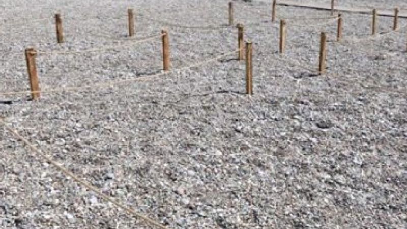 'Yeni normal'e göre plajlara yeni kurallar getirildi