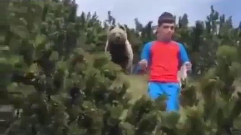 İtalya'da sakin kalan baba ve oğlu boz ayıdan kurtuldu