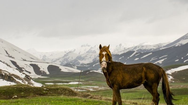 Faraşin Yaylası'ndan kartpostallık kareler