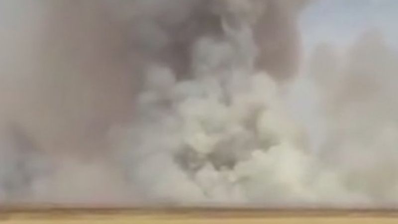 Teröristler 10 bin dönümden fazla tarım arazisini yaktı