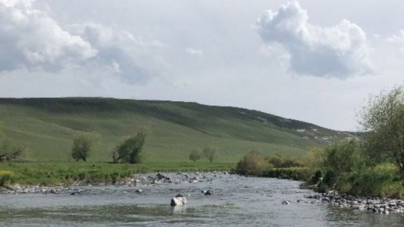 Kars Çayı'nda mahsur kalan balıklar kurtarıldı