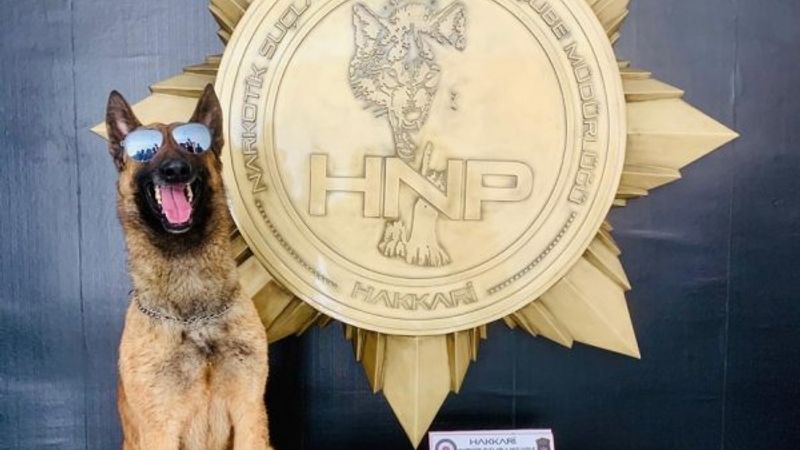 Yüksekova’da 12 kilo 300 gram uyuşturucu yakalandı