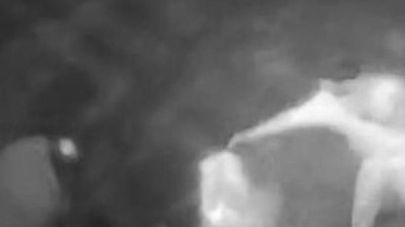 Sakarya'daki arazi anlaşmazlığı kavgası kamerada