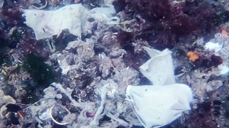 İstanbul Boğazı, maske ve eldivenlerle doldu