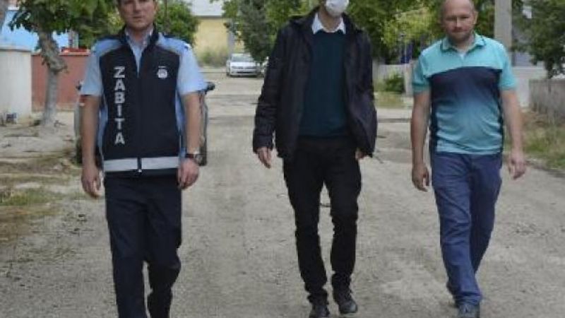 Edirne'de zehirli et yiyen kedi ve köpekler öldü