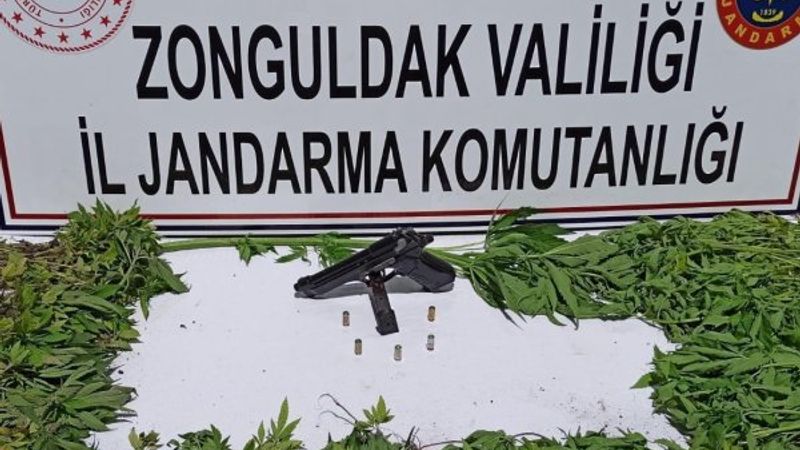 Zonguldak'ta jandarmadan uyuşturucu operasyonu: 1 gözaltı