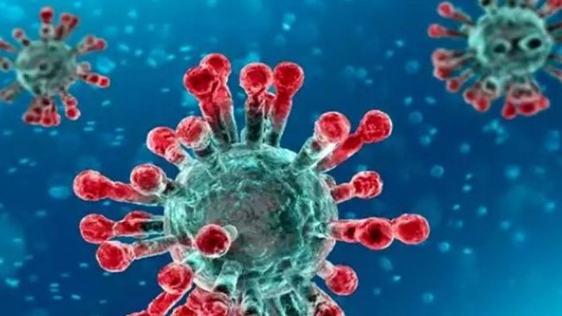 Tarihteki ilk pandemi Hititler döneminde yaşandı