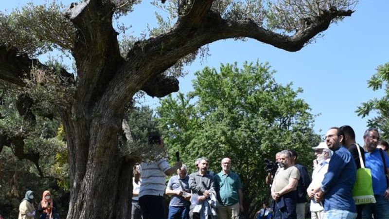 Şair Cahit Zarifoğlu, mezarında şiirleriyle anıldı