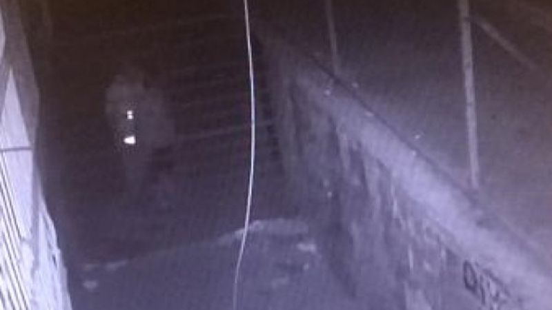 Diyarbakır'da 9 yaşındaki çocuğa cinsel istismar