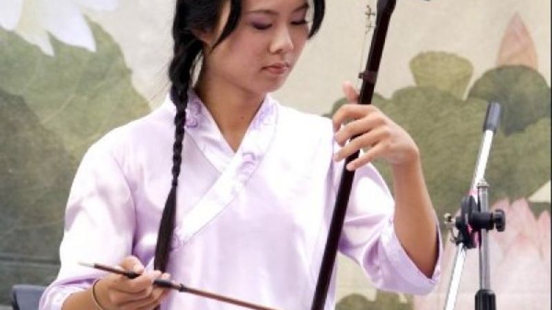 Erhu nedir