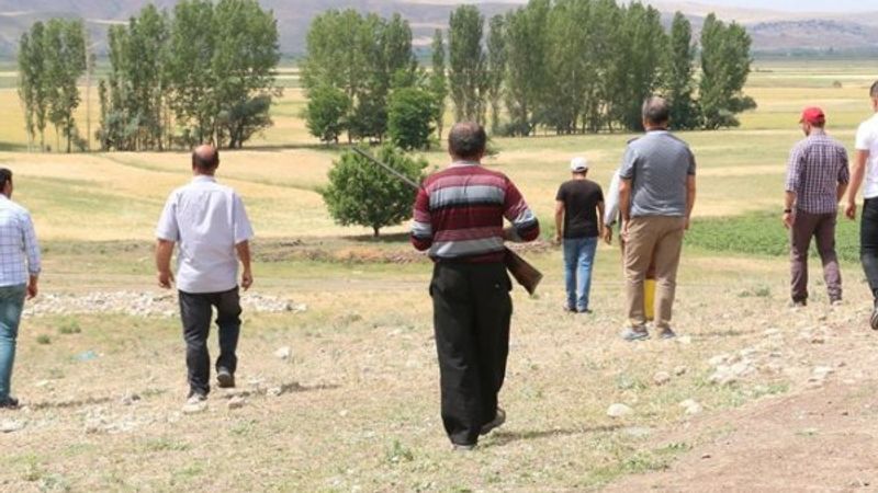 Çorum'da köylülerin 'aslan' korkusu devam ediyor
