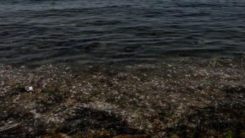 Caddebostan Sahili'nde denizin kıyısı pislik içinde