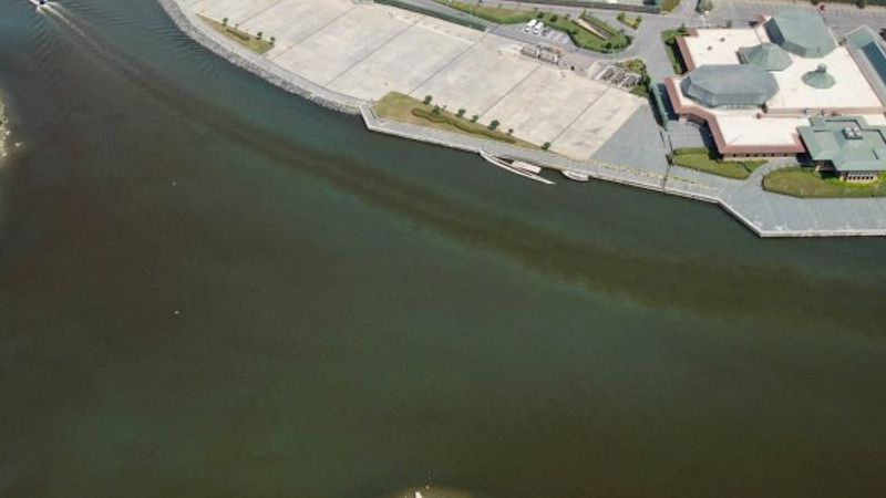 Haliç'teki görüntü korkutuyor