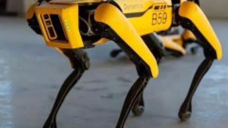 Boston Dynamics'in robot köpeği Spot artık satışta