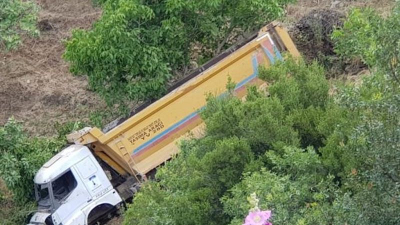 İzmir'de kaplumbağayı kurtardı, aracı uçuruma yuvarlandı