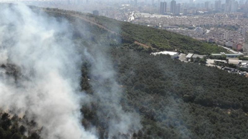 İstanbul'da orman yangını