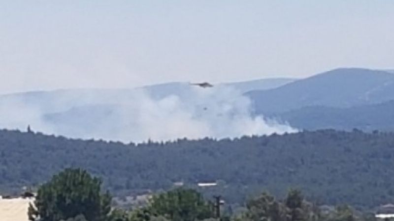 İzmir Urla'da orman yangını
