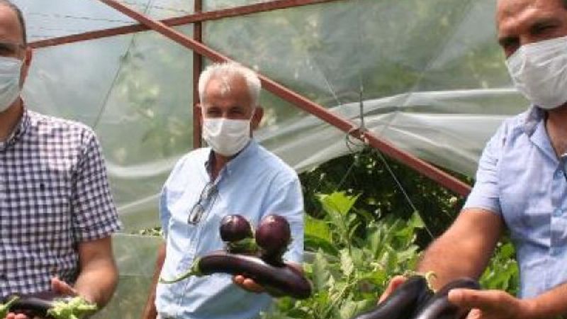 Mersin'de okul bahçesinde organik tarım yapıldı