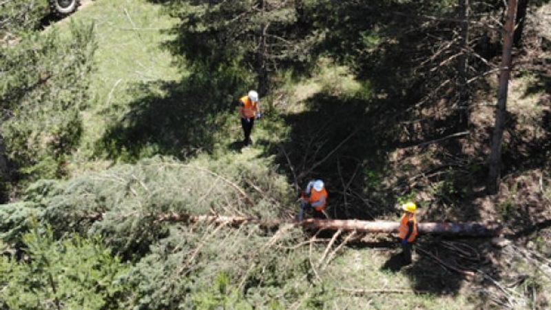 Erzincan'ın kadın ormancıları, eşlerine destek oluyor