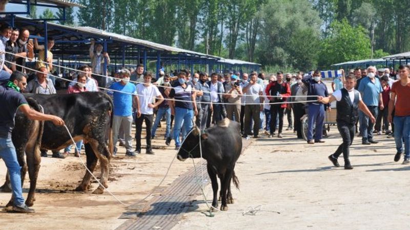 Kütahya'da kurban pazarında hareketli anlar yaşandı