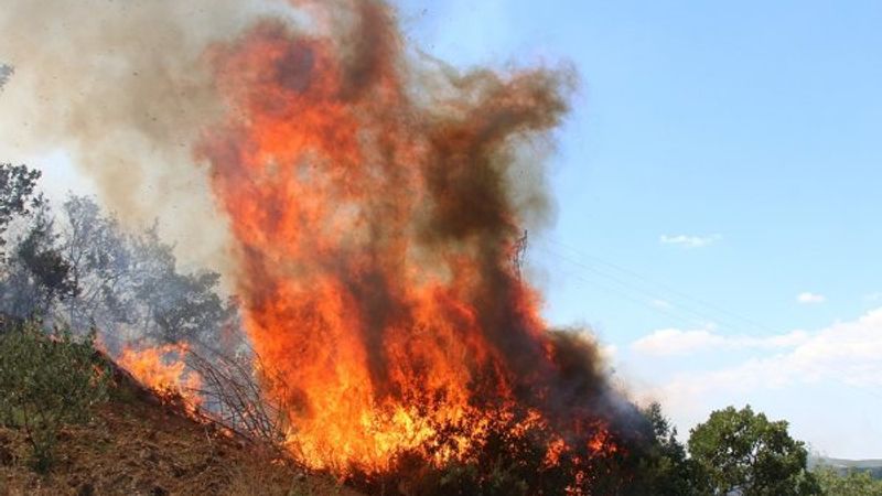 Manisa’da 20 dekar alan küle döndü