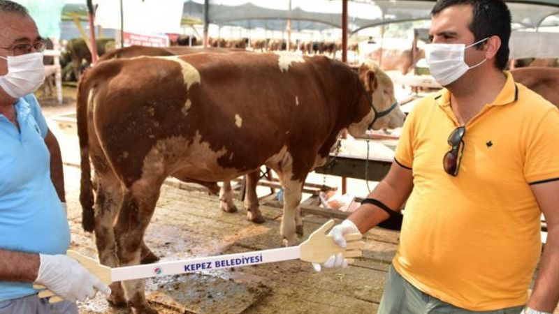 Antalya'da kurban pazarlarına özel ‘pazarlık kiti’