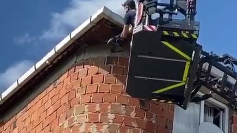 Arnavutköy'de elektrik teline takılan karga kurtarıldı