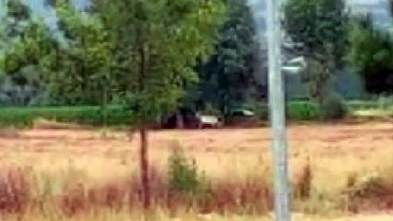 Bolu'da ata tecavüz etti