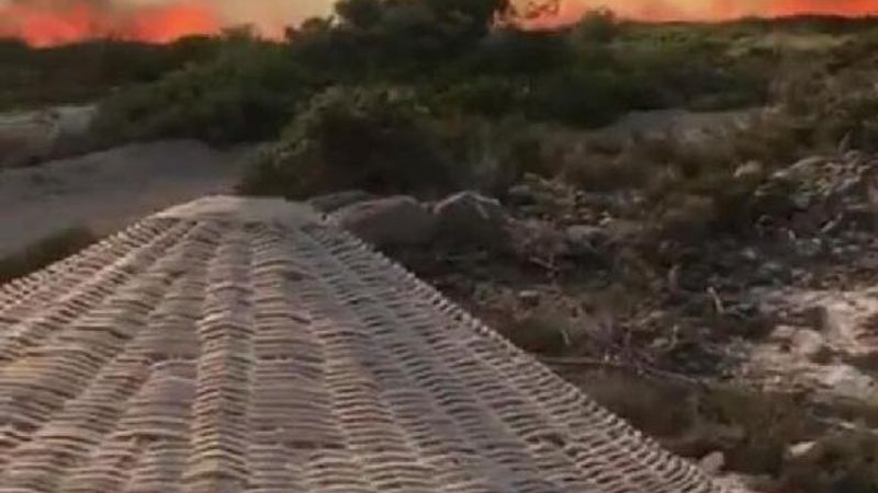 Alaçatı'daki orman yangını kontrol altına alındı